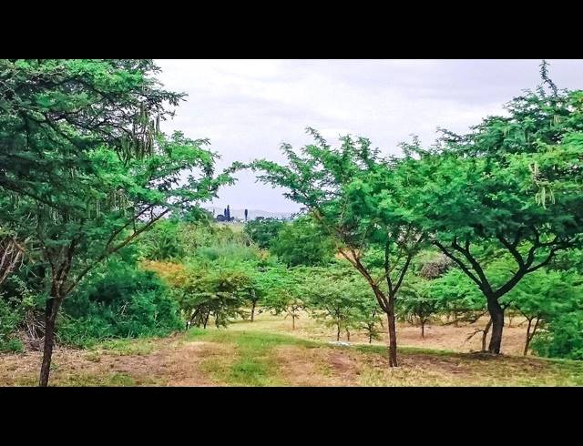 100M² FARM FOR SALE IN ESHOWE RURAL